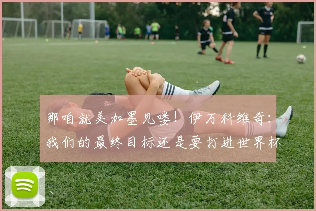 那咱就美加墨见喽！伊万科维奇：我们的最终目标还是要打进世界杯