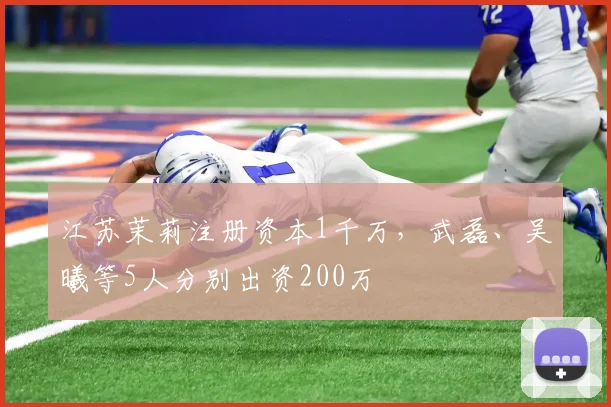 江苏茉莉注册资本1千万，武磊、吴曦等5人分别出资200万