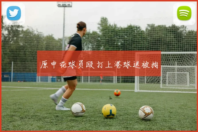 原申花球员殴打上港球迷被拘