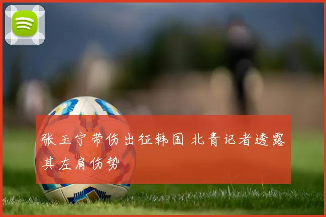 张玉宁带伤出征韩国 北青记者透露其左肩伤势