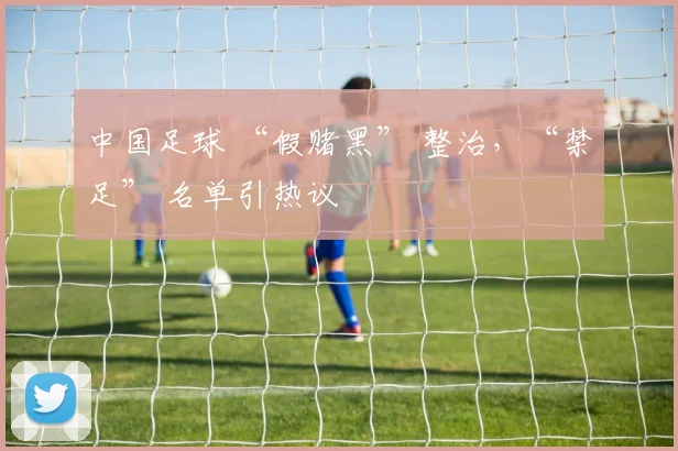 中国足球 “假赌黑” 整治，“禁足” 名单引热议