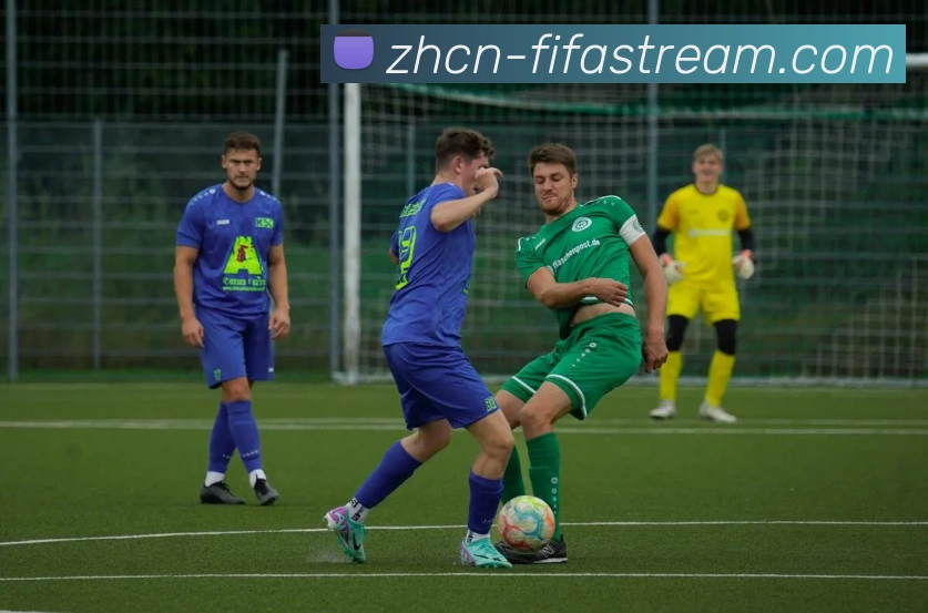 世界杯中文直播网站APP 高清赛事图